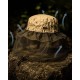 Pentagon Darien Mosquito Head Net - K13083 Lightweight technical mosquito head net by Pentagon Darien. Compatible with baseball caps and boonie hats, it offers excellent breathability and protection in the field