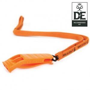 SAFETY LIFESYSTEMS SAFETY LIFESYSTEMS