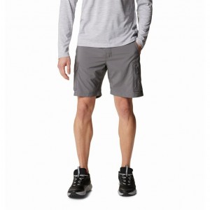 ΒΕΡΜΟΥΔΑ ΣΟΡΤΣ COLUMBIA SILVER RIDGE UTILITY CARGO SHORT