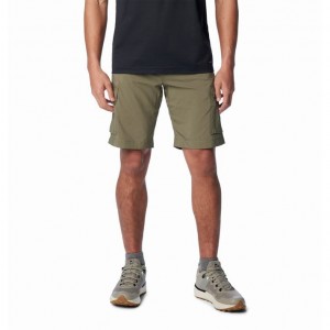 ΒΕΡΜΟΥΔΑ ΣΟΡΤΣ COLUMBIA SILVER RIDGE UTILITY CARGO SHORT