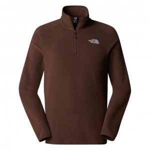 ΜΠΛΟΥΖΑ FLEECE THE NORTH FACE M 100 GLACIER