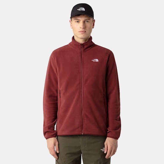 FLEECE THE NORTH FACE M 100 GLACIER