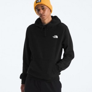 Ανδρική Μπλούζα Φούτερ με Κουκούλα - The North Face Evolution Box NSE Regular Hoodie - NF0A8CWP