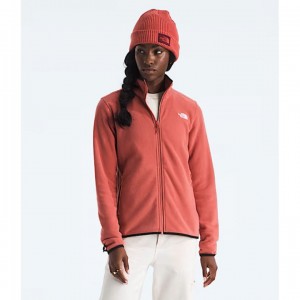 Γυναικεία Ζακέτα Fleece The North Face Glacier - NF0A8D2F