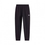 Ανδρικό Παντελόνι Φόρμας - The North Face Evolution Simple Dome Regular Jogger