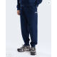 Ανδρικό Παντελόνι Φόρμας - The North Face Evolution Simple Dome Regular Jogger The North Face Evolution Simple Dome Regular Jogger ανδρικό παντελόνι φόρμας. Από ανακυκλωμένο βαμβάκι & πολυεστέρα, με ελαστική μέση & τσέπες (NF0A8CWY)