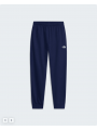 Ανδρικό Παντελόνι Φόρμας - The North Face Evolution Simple Dome Regular Jogger