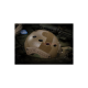 ΚΡΑΝΟΣ FAST Helmet PJ Eco Version ΚΡΑΝΟΣ FAST Helmet PJ Eco Version
