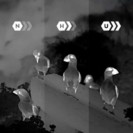 Thermal Imaging Monocular – Pulsar ALARIS XQ30