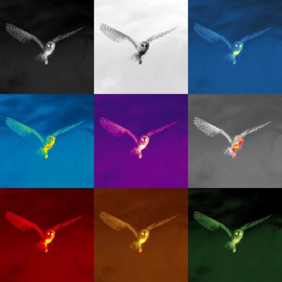 Thermal Imaging Monocular – Pulsar ALARIS XQ30