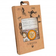 MFH FORESTIA, Salmon with Porcini-Risotto