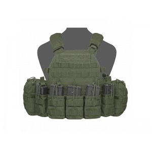PLATE CARRIER WARRIOR ASSAULT DCS G36