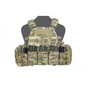 PLATE CARRIER WARRIOR ASSAULT DCS G36