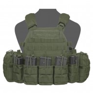 PLATE CARRIER WARRIOR ASSAULT DCS 7,62 Χ 51 G3