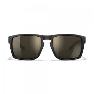 WILEY X WX FOUNDER TUNGSTEN MIRROR MATTE BLACK-TAN FRAME SUNGLASSES