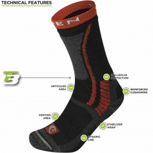 LORPEN T3 ALL SEASON TREKKER ECO SOCKS