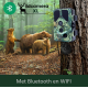 ΚΑΜΕΡΑ ΠΑΡΑΤΗΡΗΣΗΣ TRAIL CAMERA EZ45 WIFI WILDCAMERAXL ΚΑΜΕΡΑ ΠΑΡΑΤΗΡΗΣΗΣ TRAIL CAMERA EZ45 WIFI WILDCAMERAXL