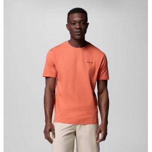 COLUMBIA BARTON SPRINGS GRAPHIC T-SHIRT SHORT SLEEVE TEE