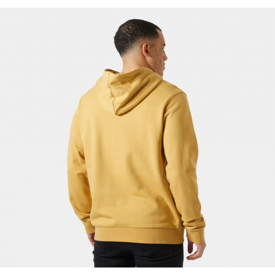 HELLY HANSEN LOGO HOODIE