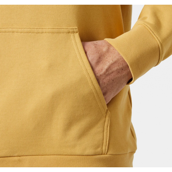 HELLY HANSEN LOGO HOODIE