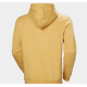 HELLY HANSEN LOGO HOODIE