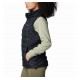 WOMEN'S VEST COLUMBIA POWDER LITE II VEST