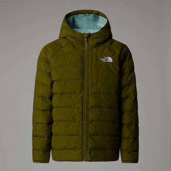 THE NORTH FACE REVERSIBLE PERRITO JACKET