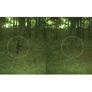 Camo Spray Paint NFM EC Paint