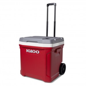 IGLOO LATITUDE 60 ROLLER FRIDGE