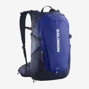 SALOMON TRAILBLAZER 30 HIKING BACKPACK