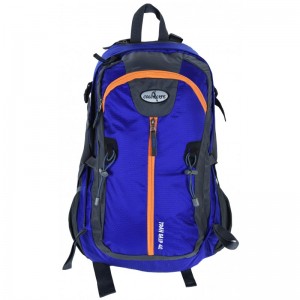 ΣΑΚΙΔΙΟ ΠΛΑΤΗΣ COLORLIFE 1065 TRANSALP 40 ltr  