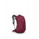 ΣΑΚΙΔΙΟ ΠΛΑΤΗΣ OSPREY HIKELITE 18L