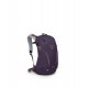 ΣΑΚΙΔΙΟ ΠΛΑΤΗΣ OSPREY HIKELITE 18L