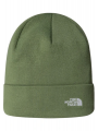 NORM BEANIE THE NORTH FACE CAP