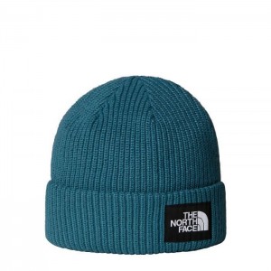 THE NORTH FACE SALTY LINED BEANIE CAP