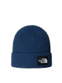 THE NORTH FACE SALTY LINED BEANIE CAP