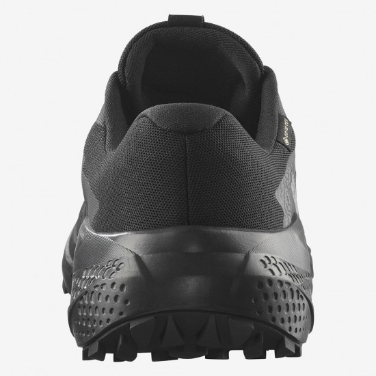 SALOMON ALPHAGLIDE GTX HIKING SHOES